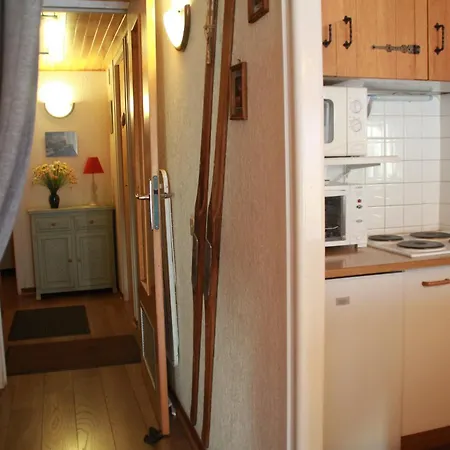 Appartement Rsa4 Swimming Pool & Center 6 Pers Châtel